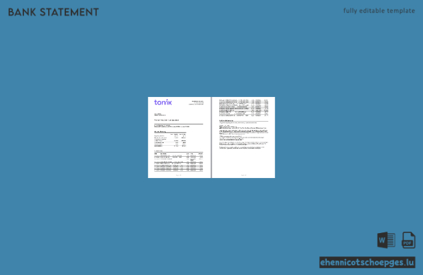 Kontoauszug der Tonik Bank Premium Visa Debitkarte (Philippinen), Word-Dokument, 2 Seiten, Beispielvorschau